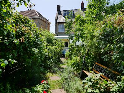 Picture 19